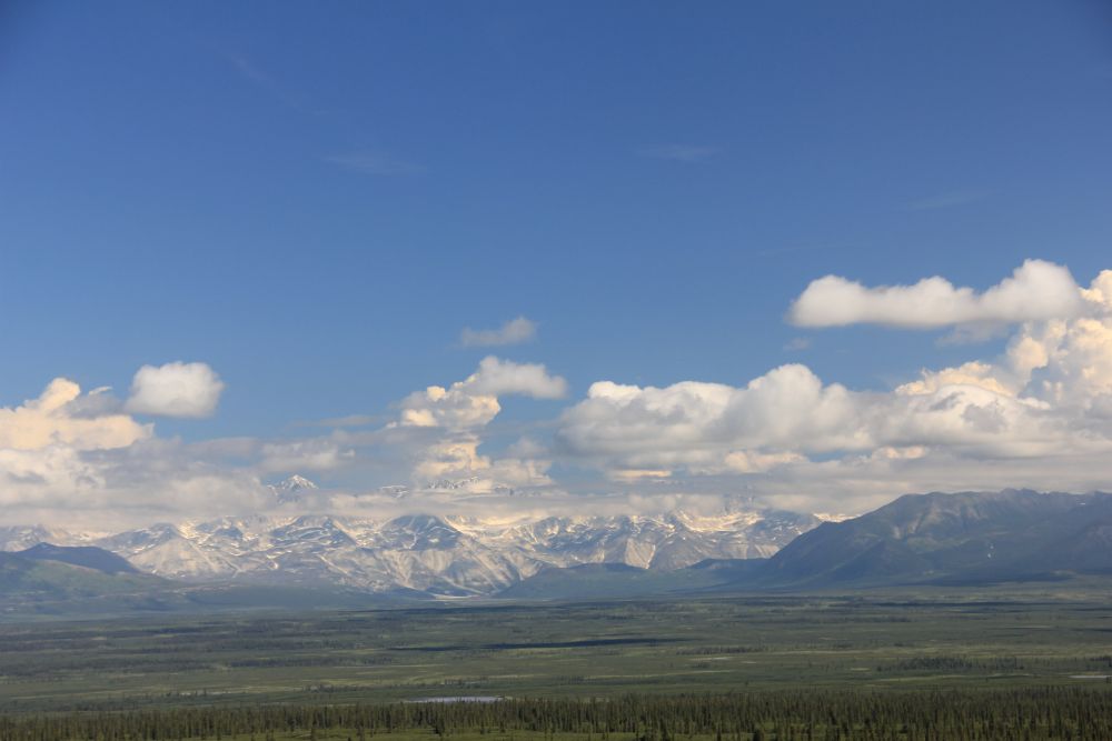 Outlook