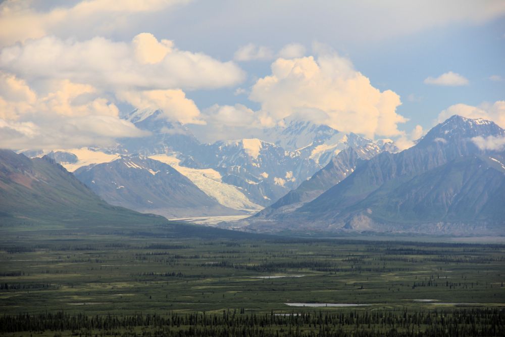 Outlook