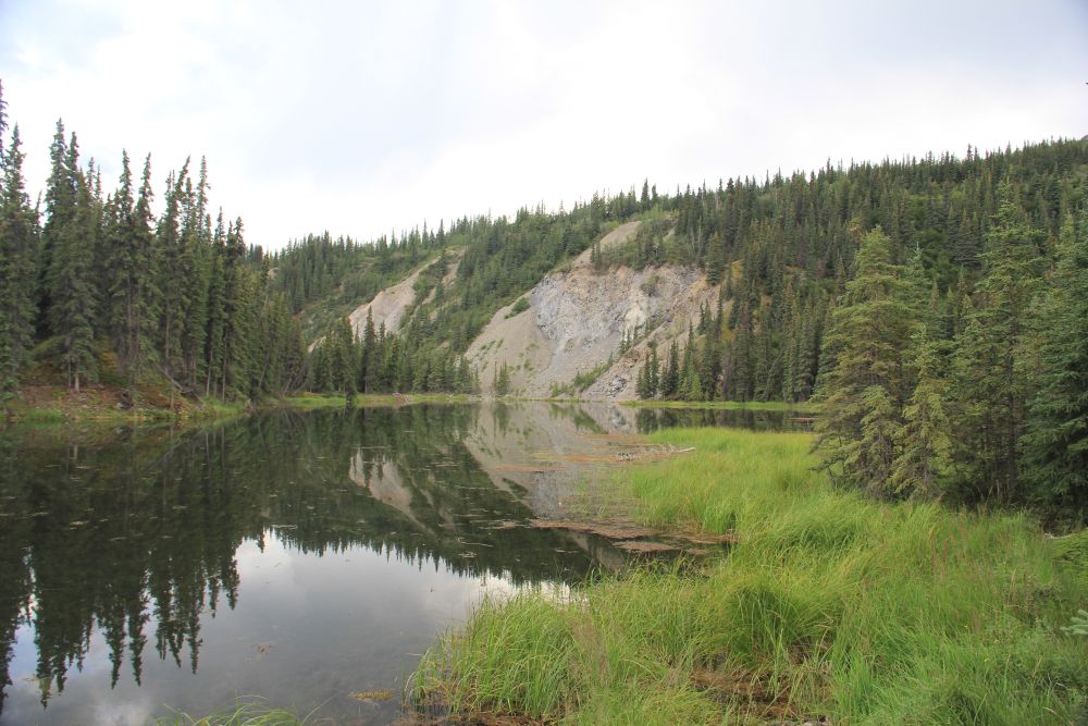 Outlook