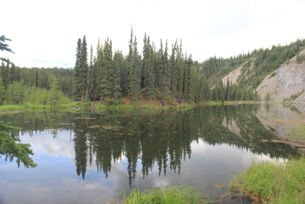 Outlook