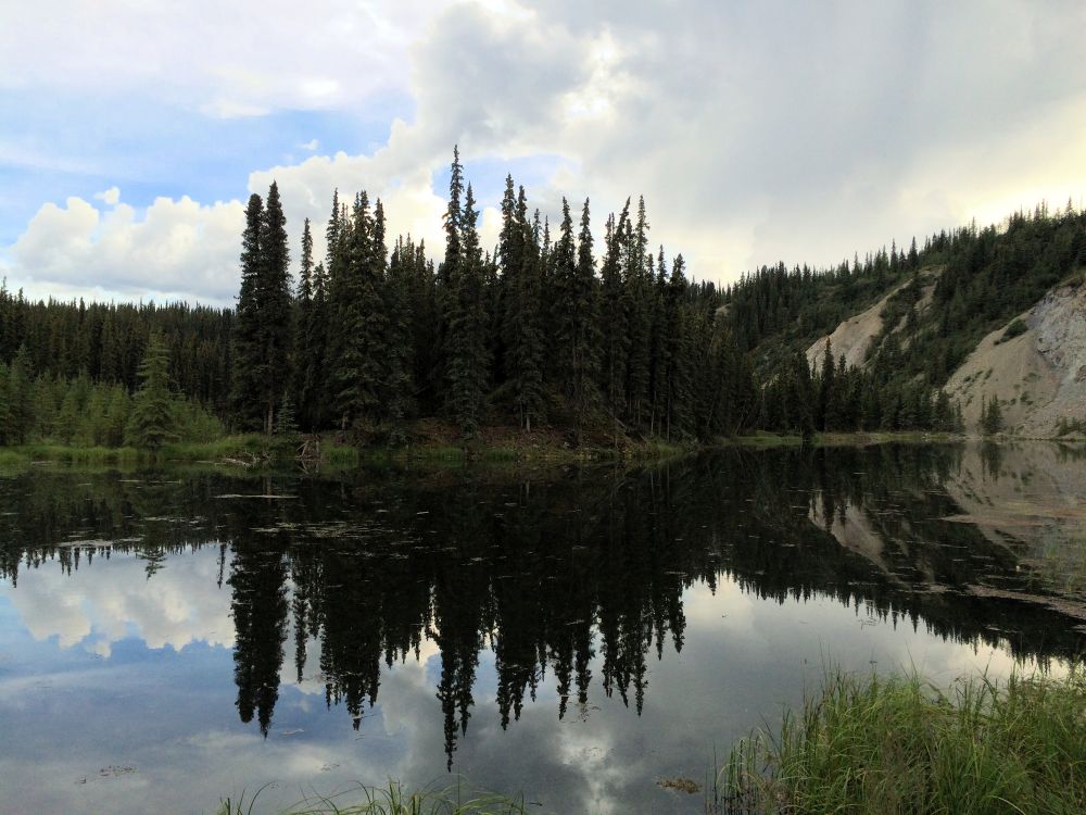 Outlook