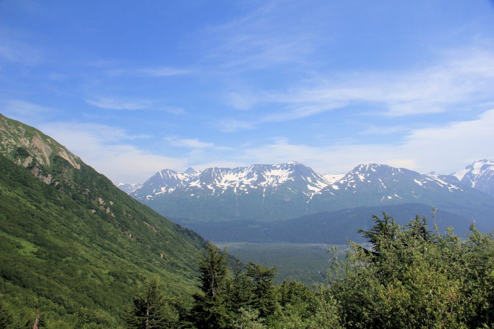 Outlook