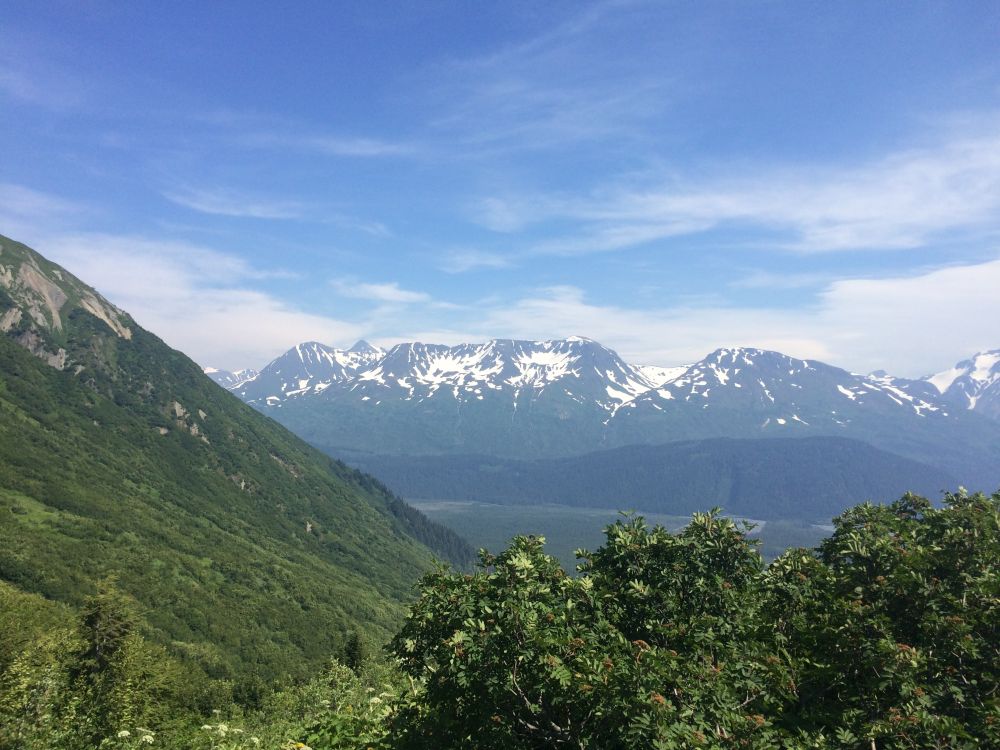 Outlook