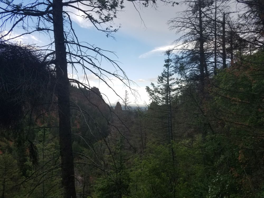 Outlook