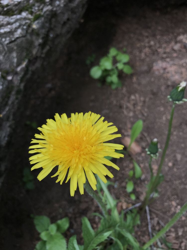 Outlook