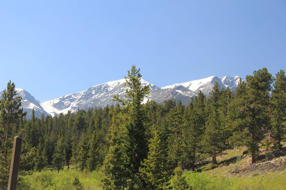 Outlook