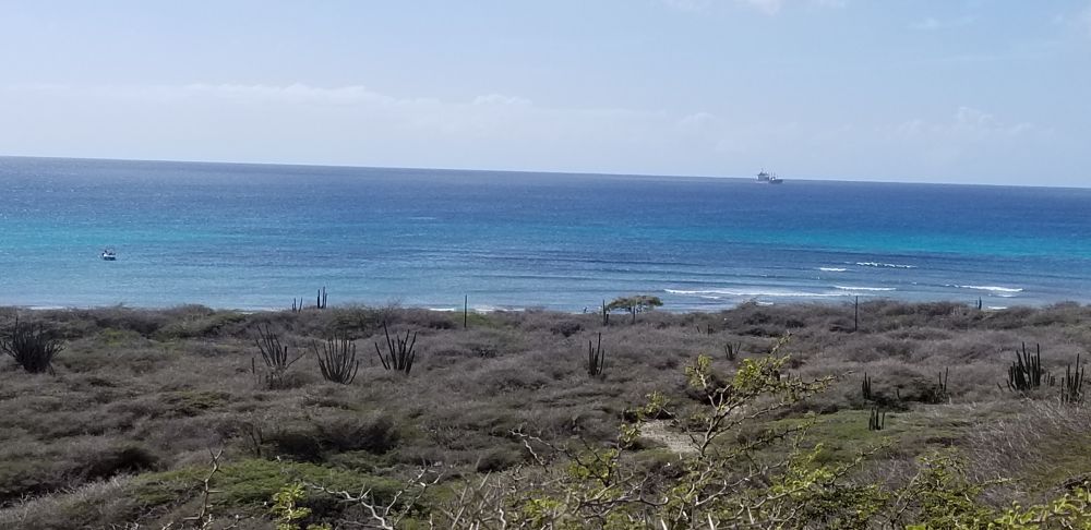 Outlook