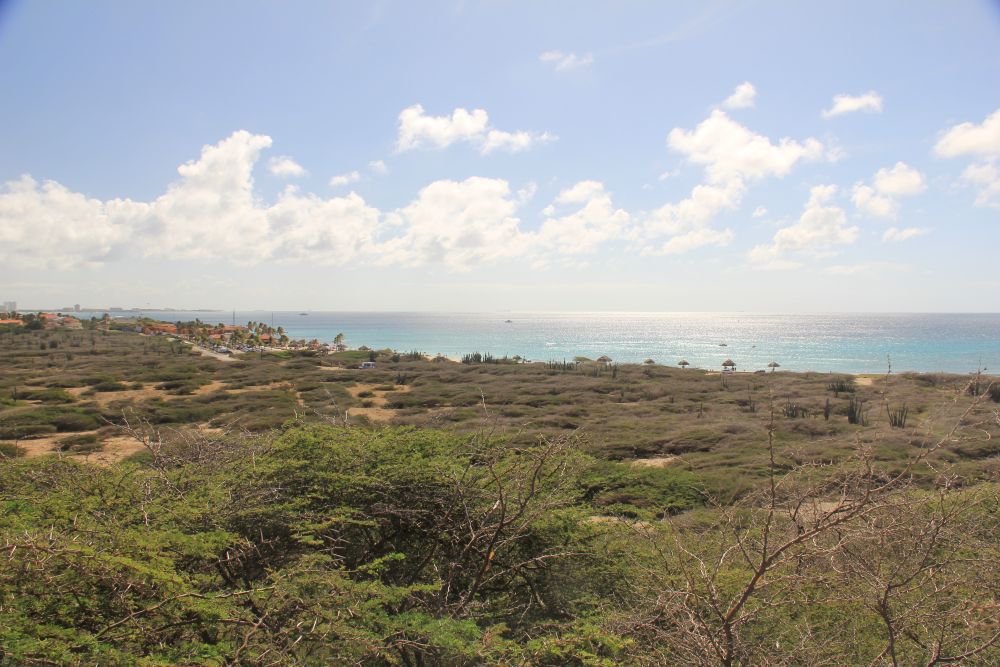 Outlook