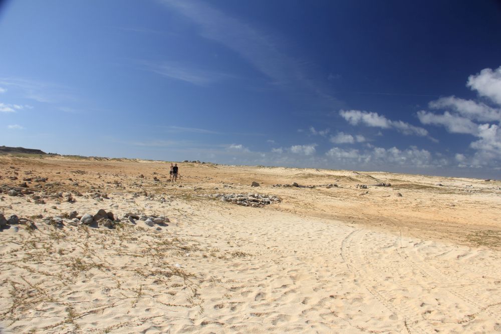 Outlook
