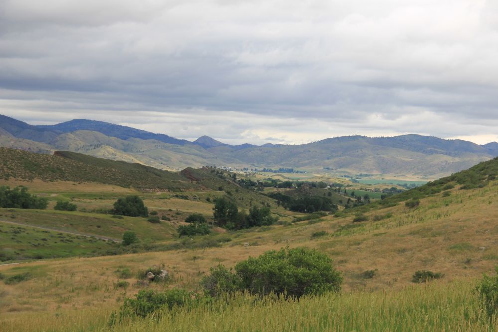 Outlook