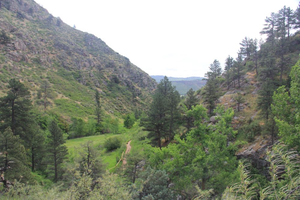 Outlook