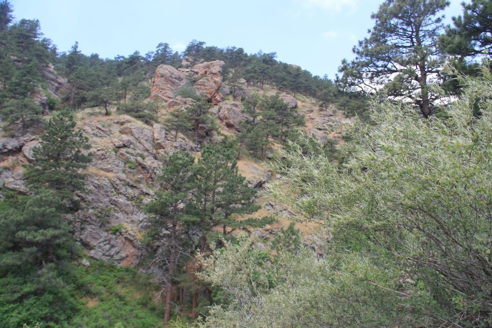 Outlook