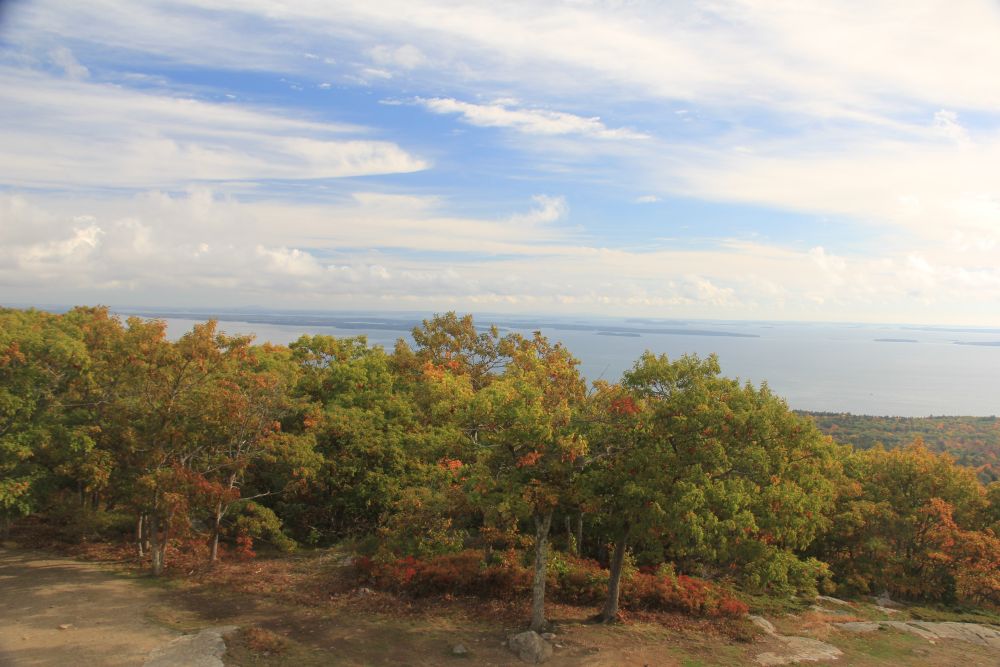 Outlook