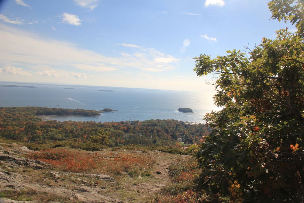 Outlook