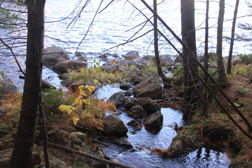 Outlook