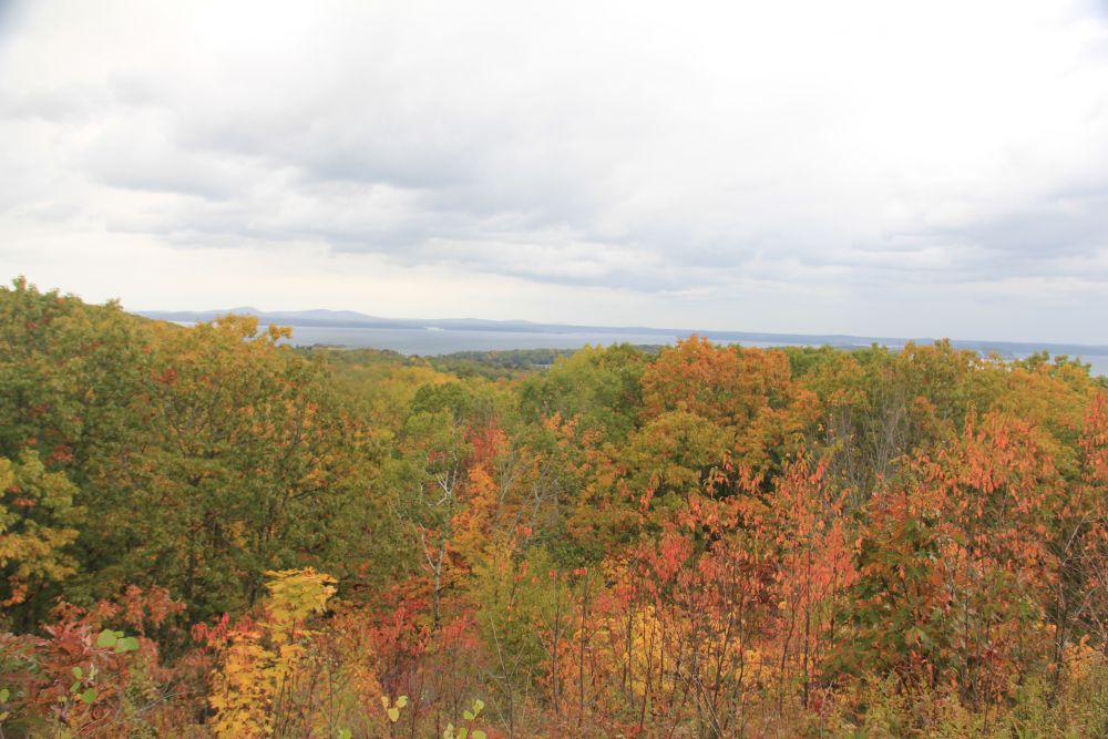 Outlook