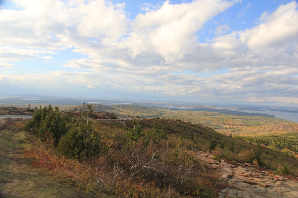Outlook