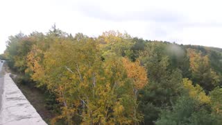 Loop Road