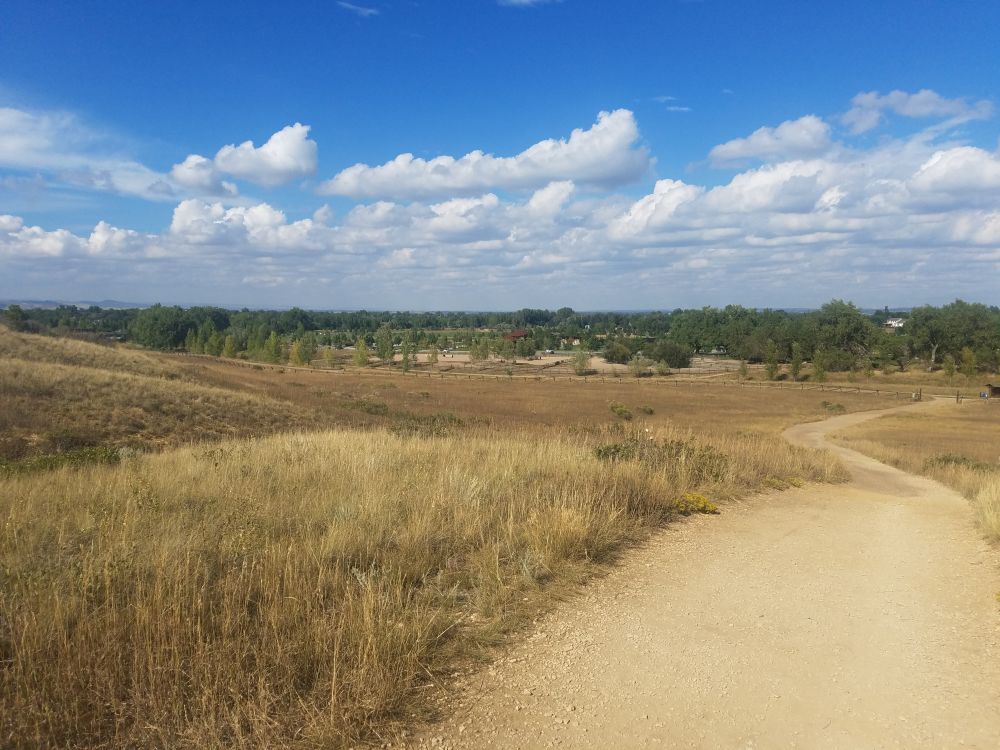 Outlook