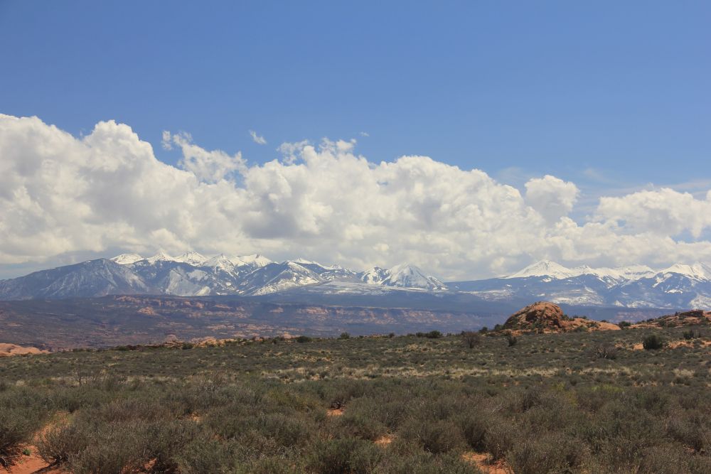 Outlook