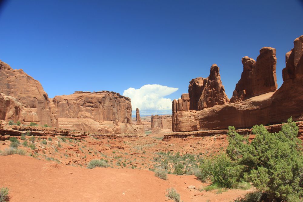 Outlook