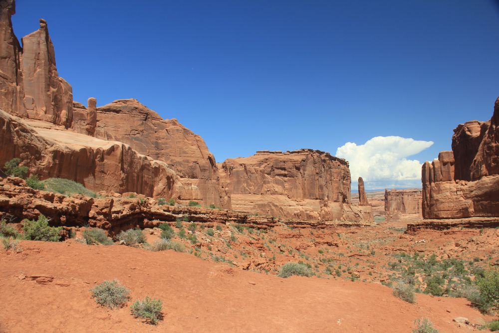 Outlook