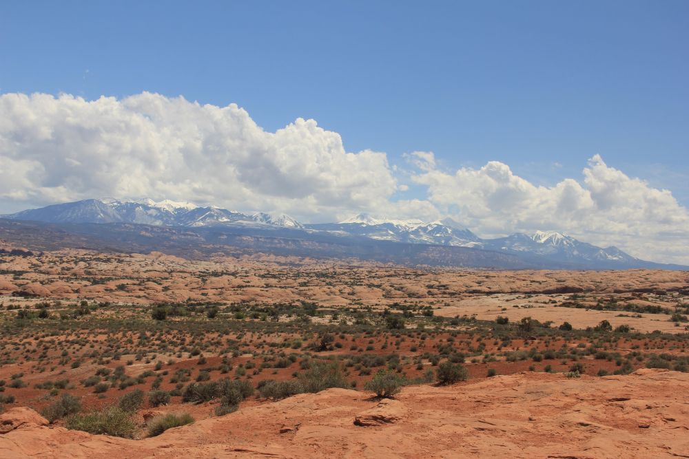 Outlook