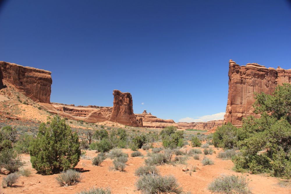 Outlook