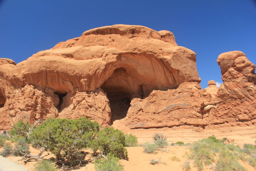 Outlook