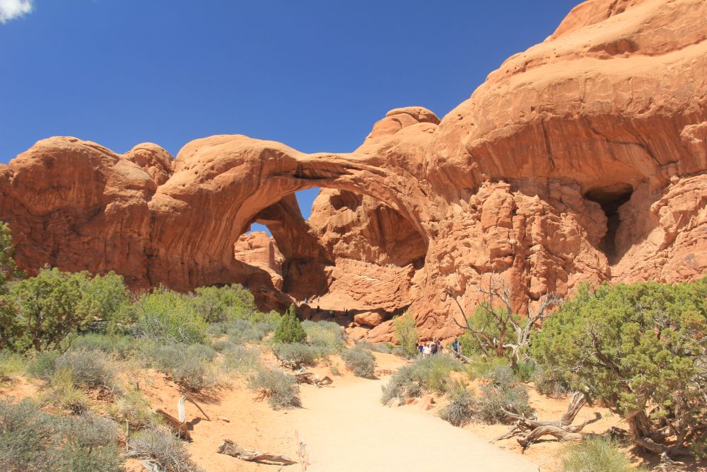 Outlook