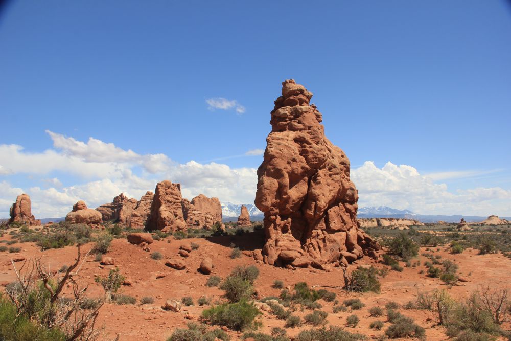 Outlook