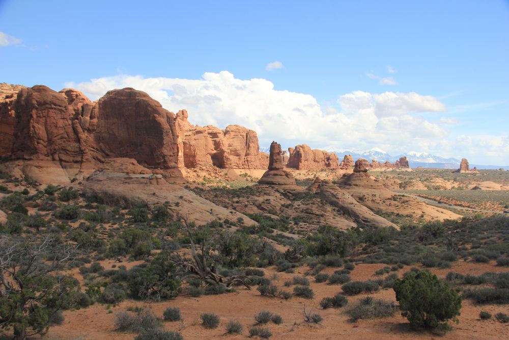 Outlook