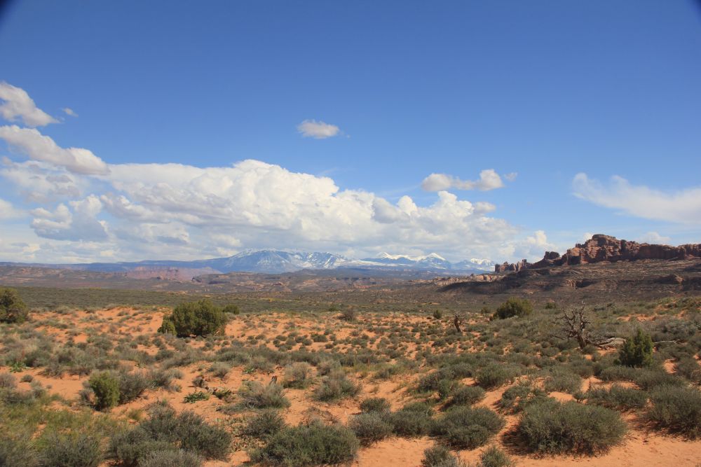 Outlook