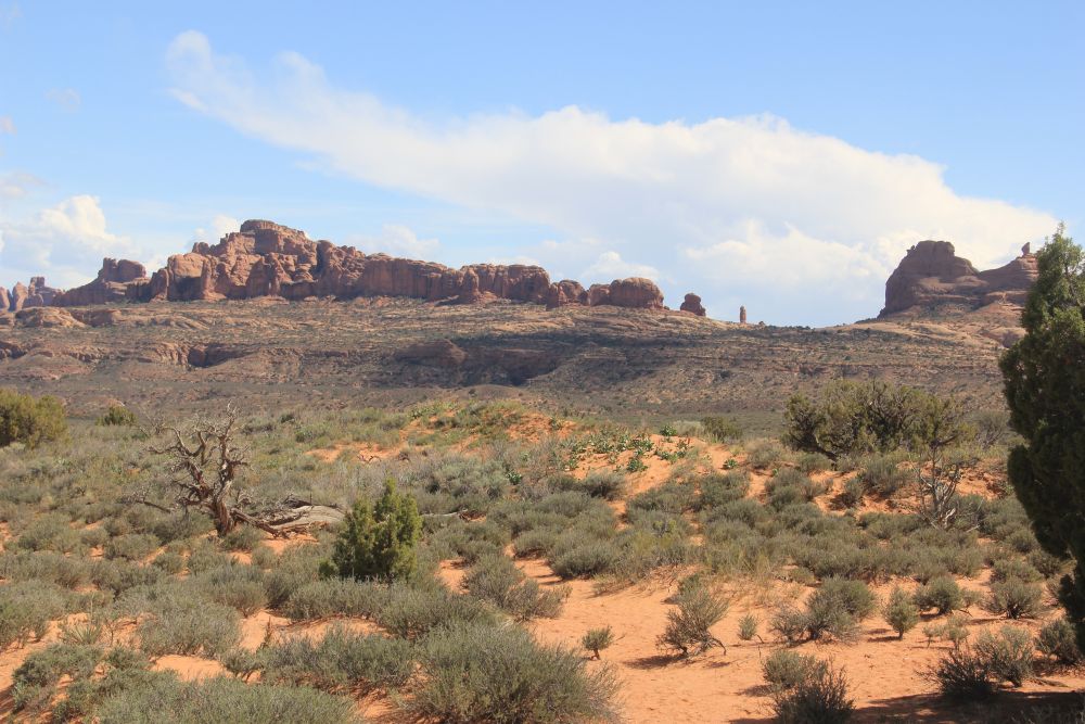 Outlook