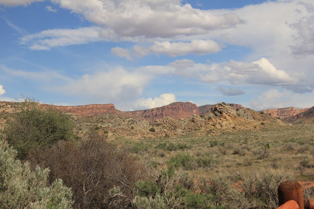 Outlook