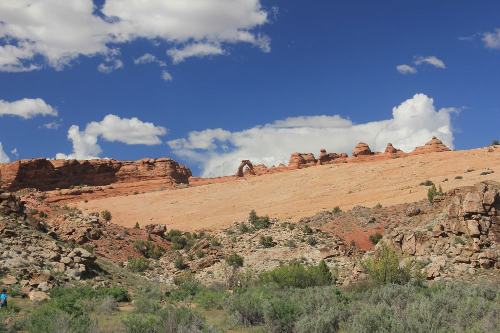 Outlook