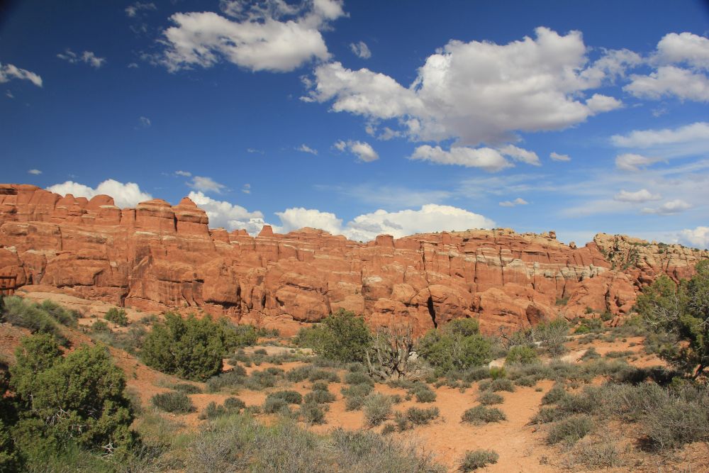 Outlook