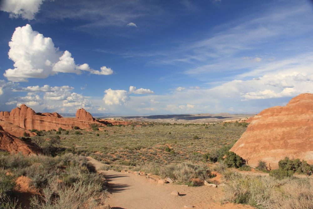 Outlook