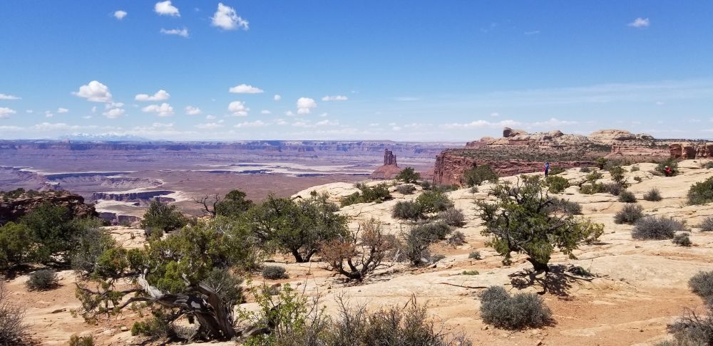 Outlook