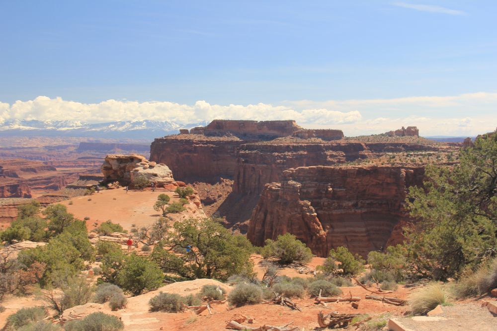 Outlook