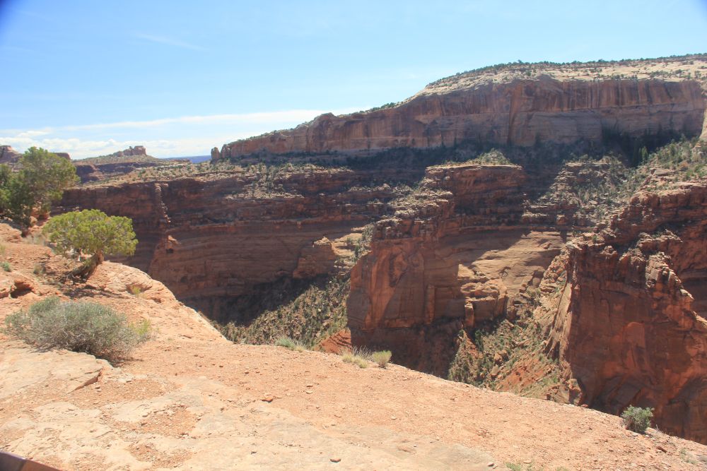 Outlook
