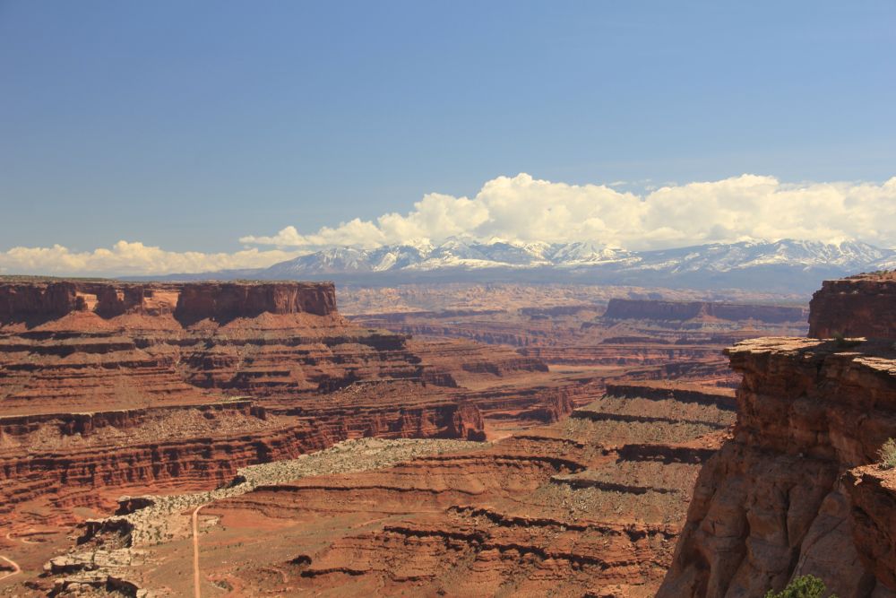 Outlook