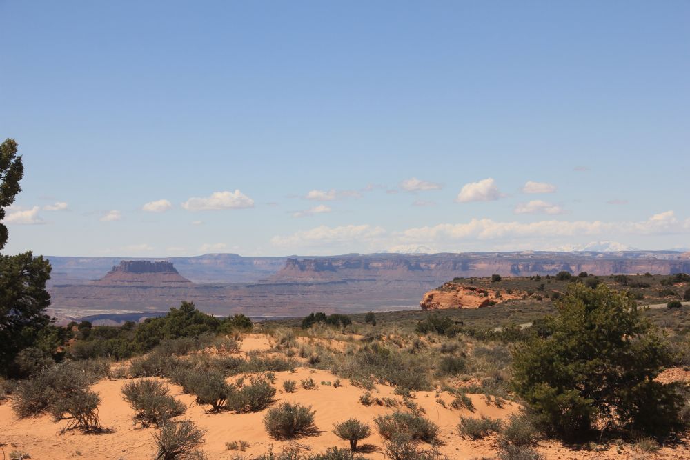 Outlook
