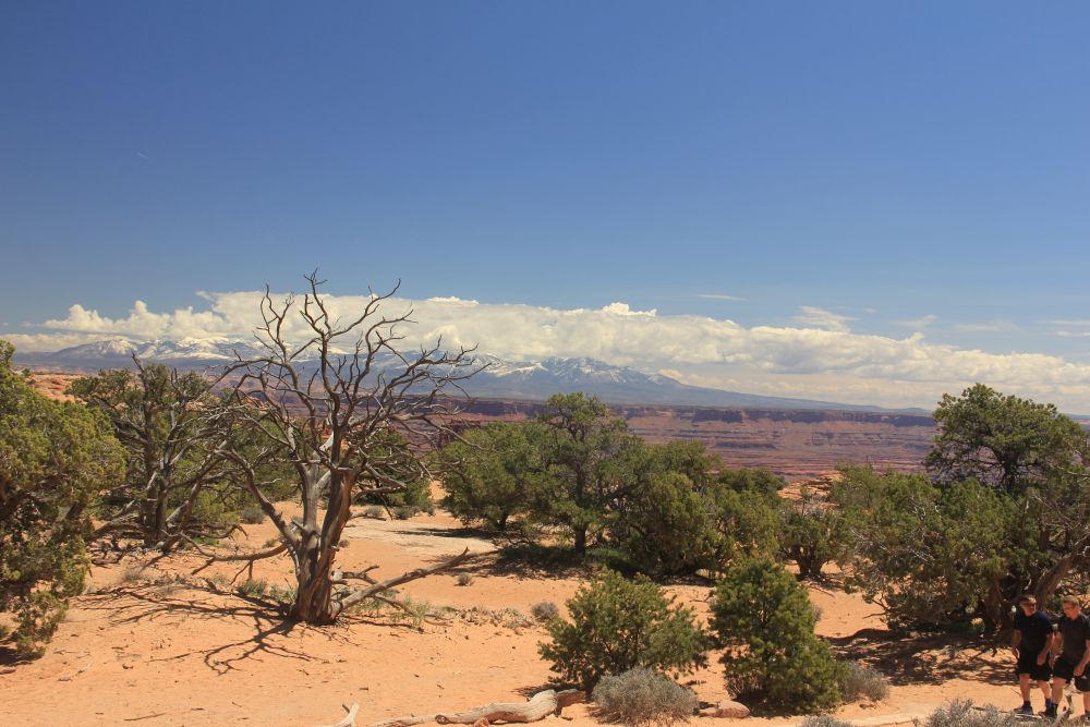 Outlook
