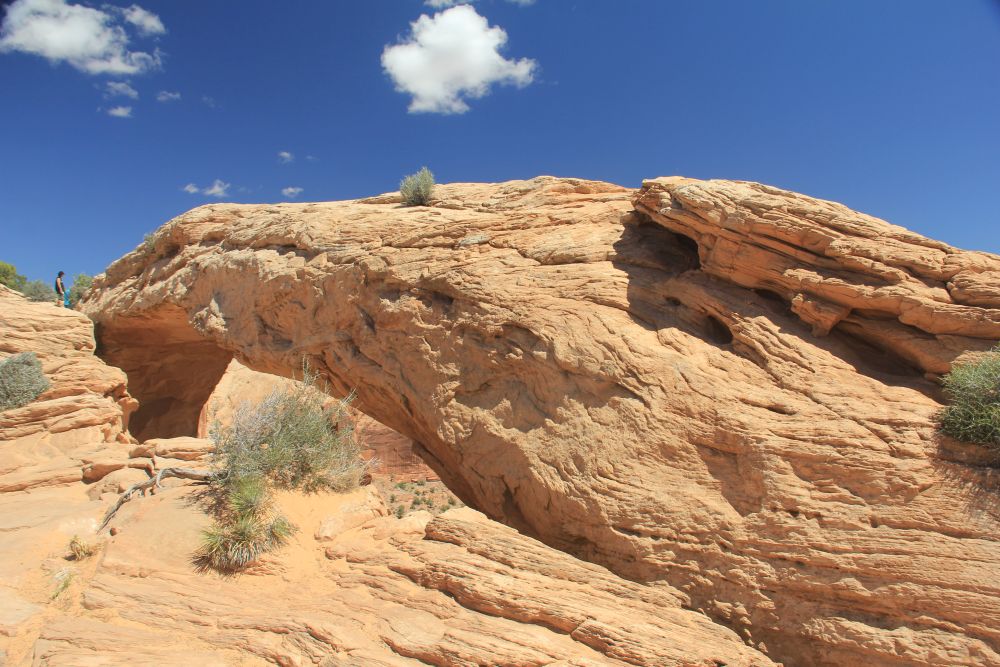 Outlook