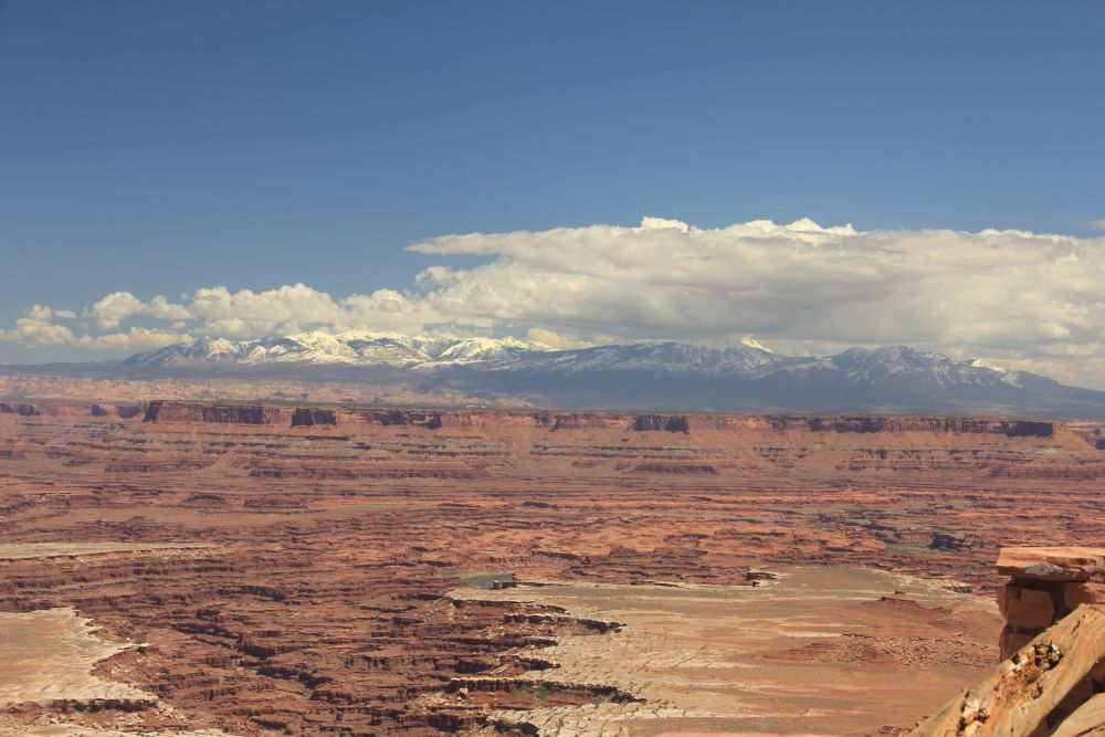 Outlook
