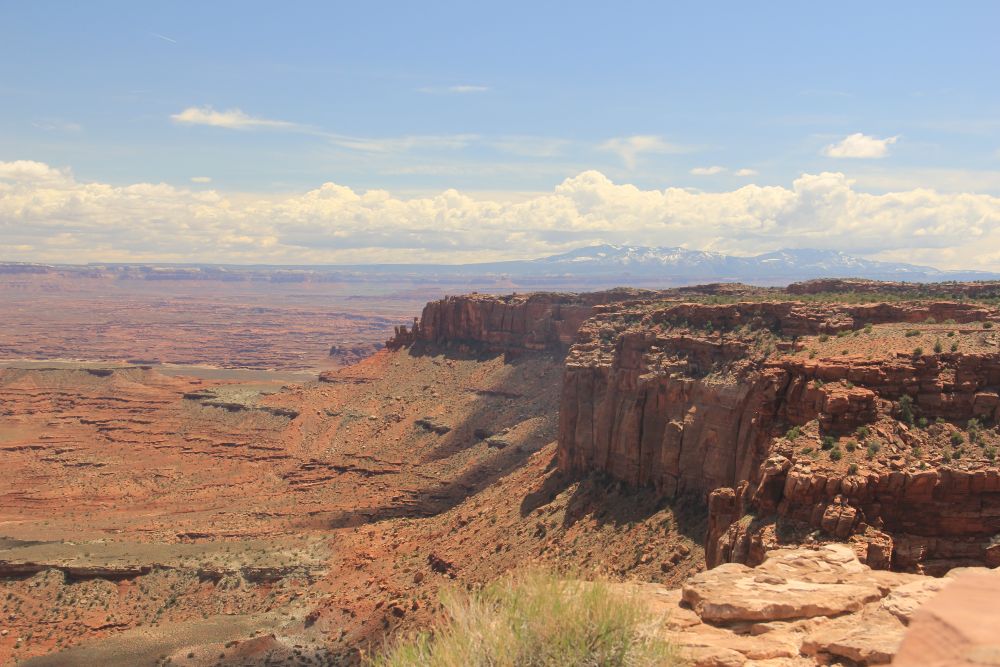 Outlook