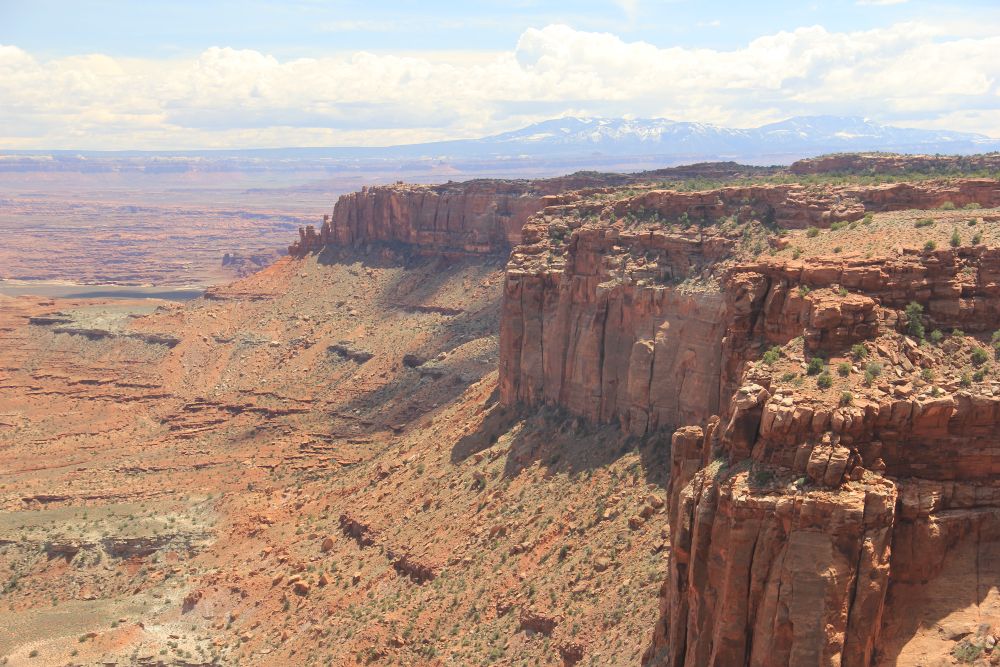 Outlook