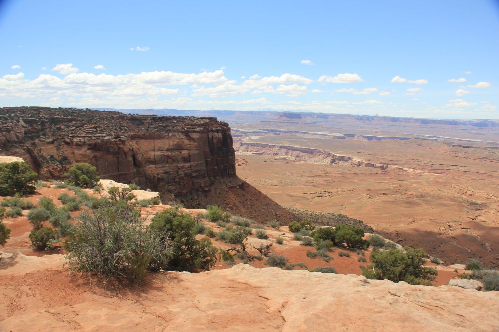 Outlook