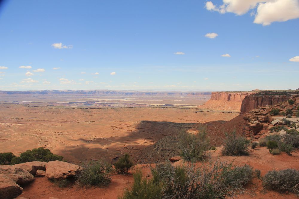 Outlook